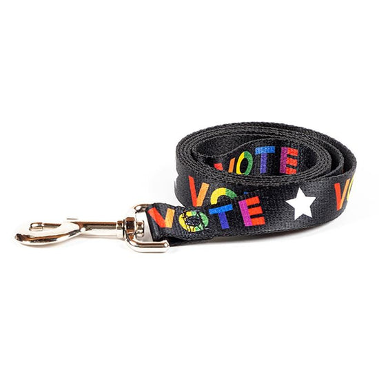 Vote With Pride Dog Collar by Susanne Lamb - Creative Action Network