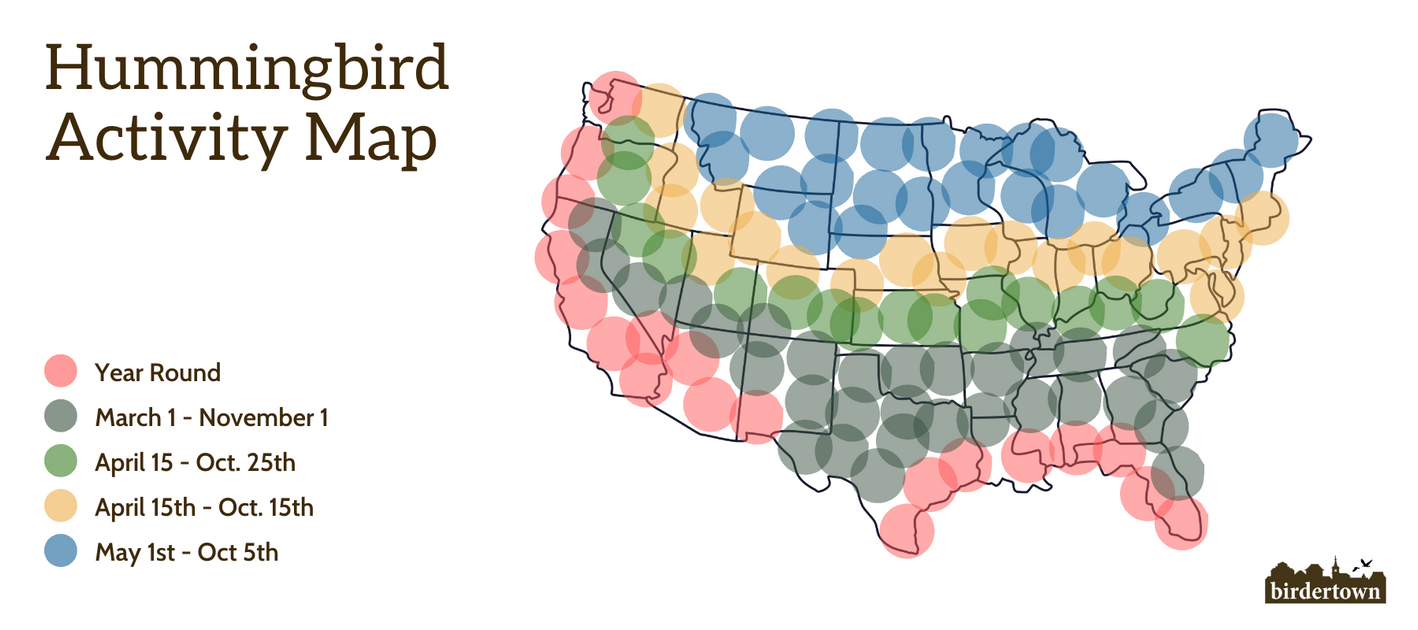 Hummingbird Migration Guide — Birdertown