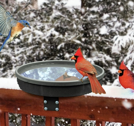 Bird bath heater