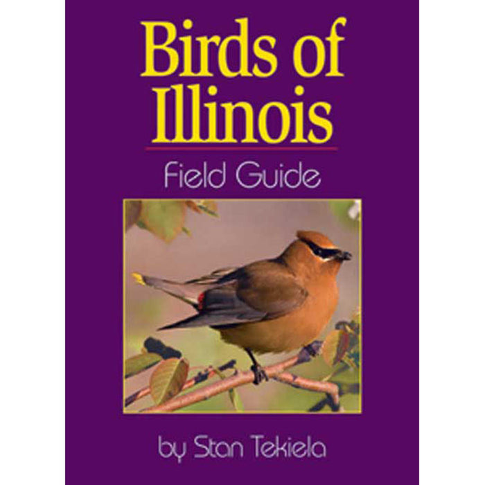 Illinois Birds Field Guide — Birdertown