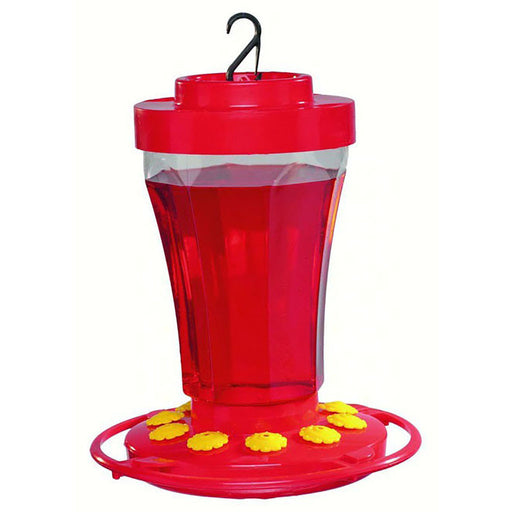 best hummingbird feeder forums