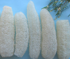 Natural Loofah Sponge