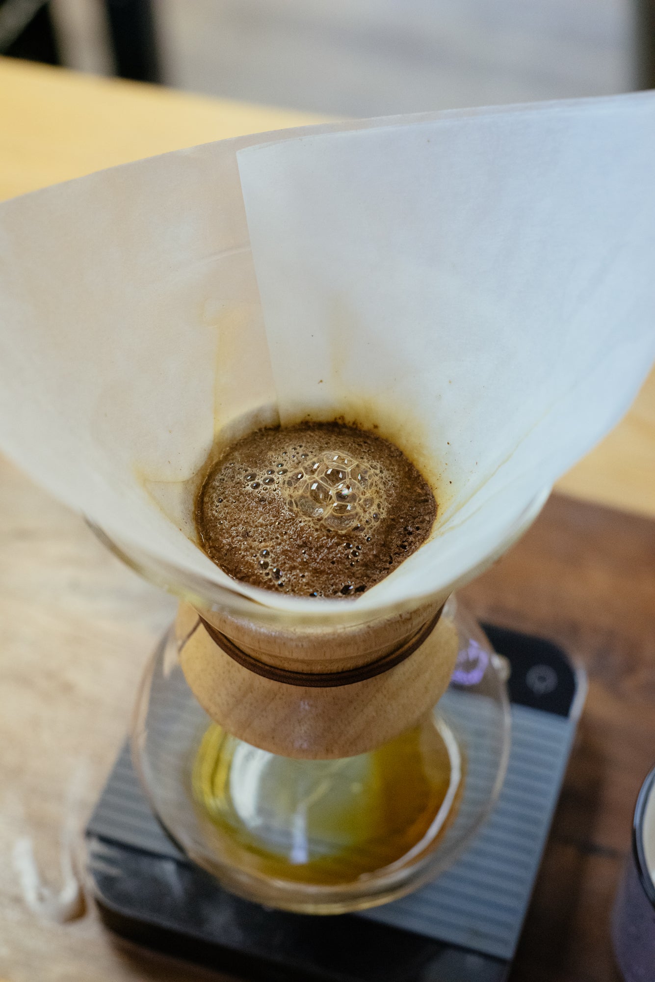 Coffee Blooming