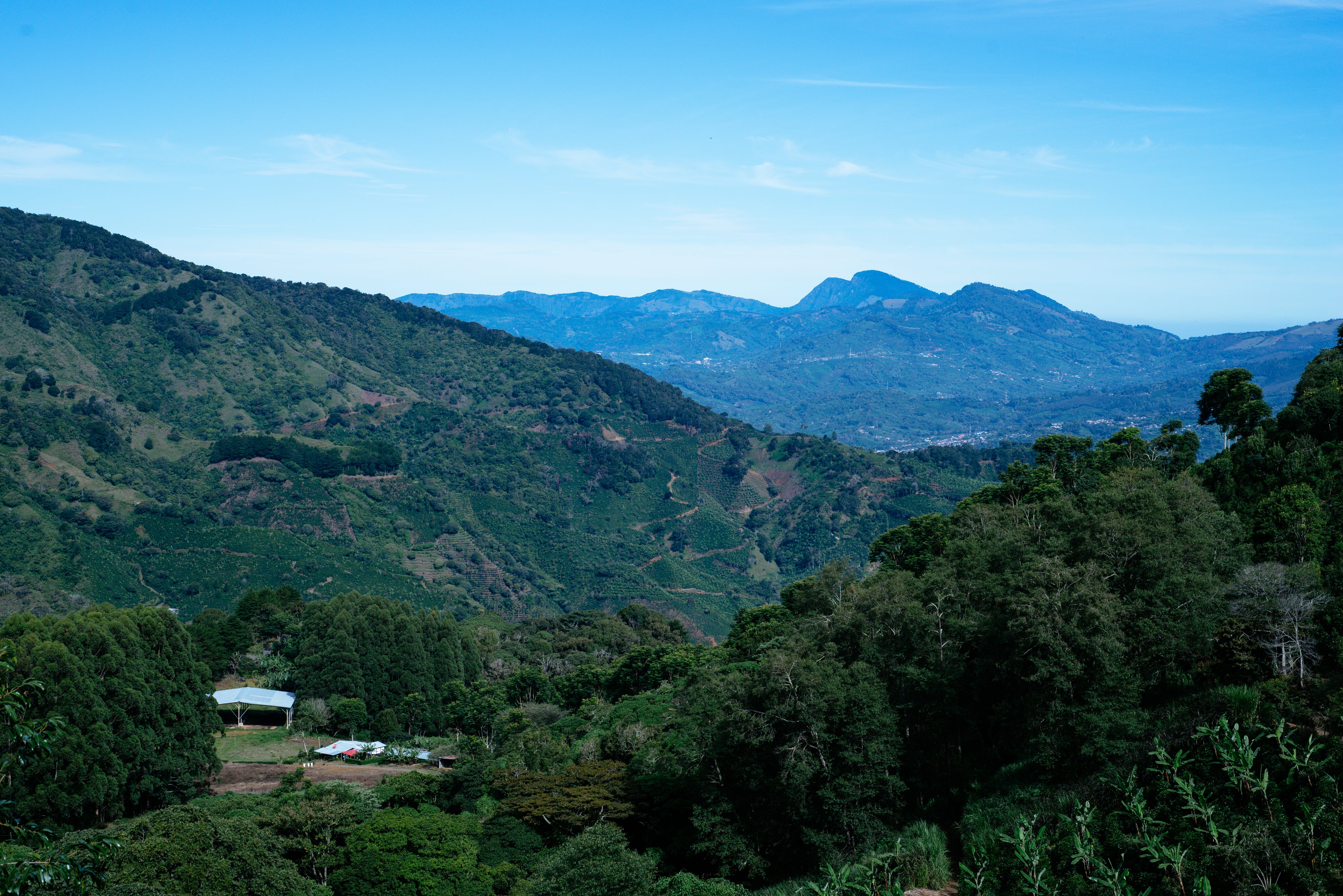 View from Coffee Farm