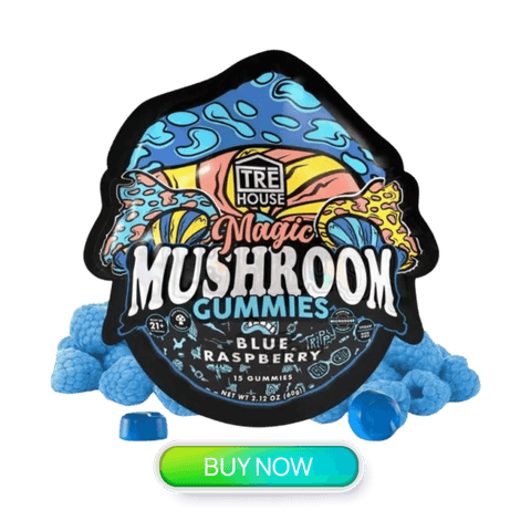 best mushroom gummies trehouse