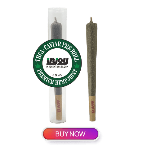 THCA caviar pre-rolls come with 2 grams of THCA flower and are rolled in Kief
