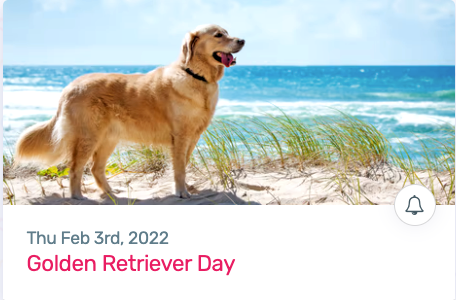 Daily Planner 2022 - Golden Retriever Day