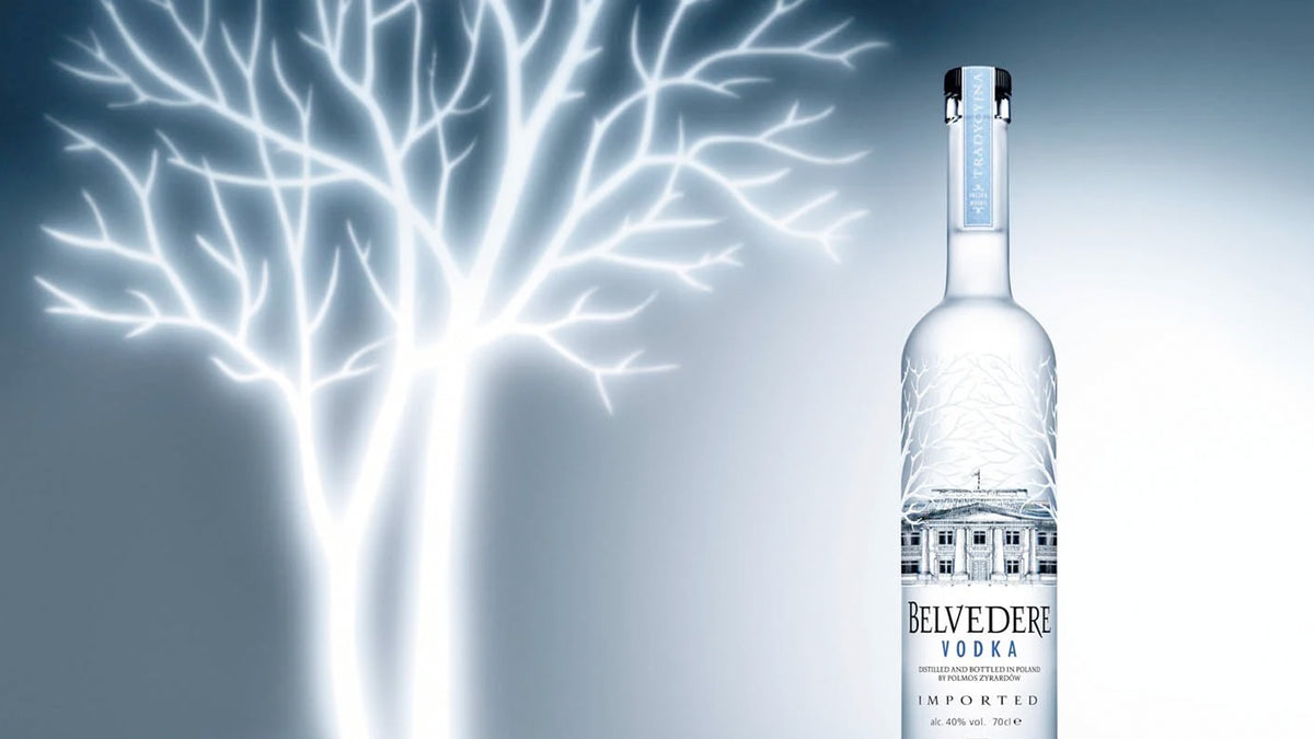 5+ Fun Trivia Facts About Vodka You Should Know