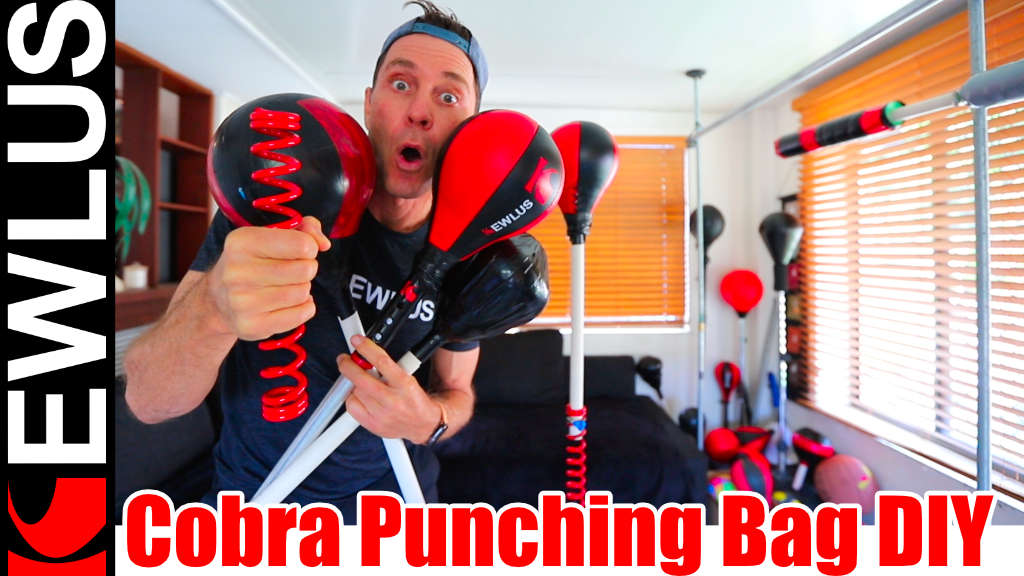 Cobra Punching Bag DIY