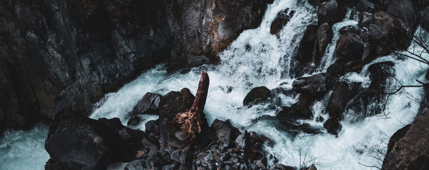 Rapids with Trees