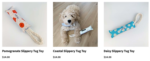 Best Puppy Toys