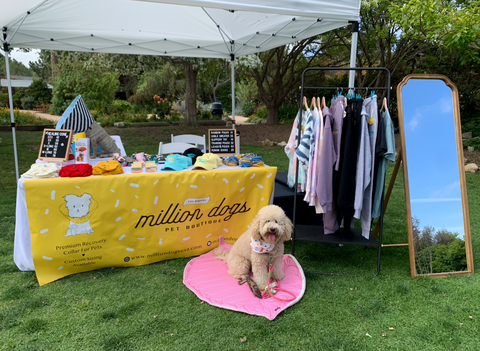 South Coast Botanical Garden dog walking event million dogs pop up booth