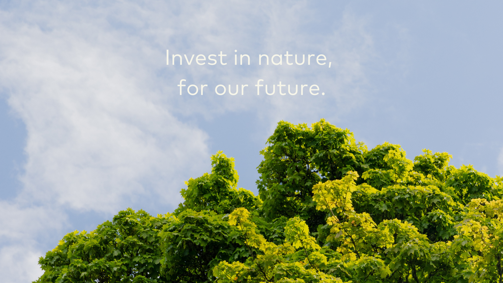 Invest in nature, for our future