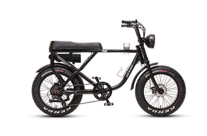 voltaire electric bikes