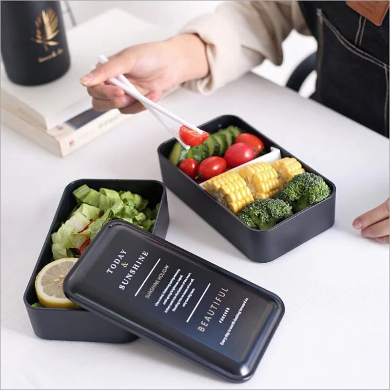 Portable Bento Box - Microwavable Lunch Box – Life Guidance