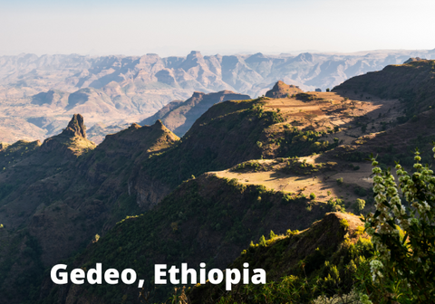 Ethiopia, Gedeo