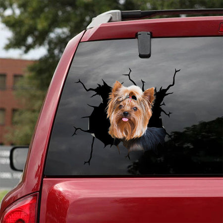 [ha0249-snf-tpa]-yorkshire-terrier-crack-car-sticker-dogs-lover