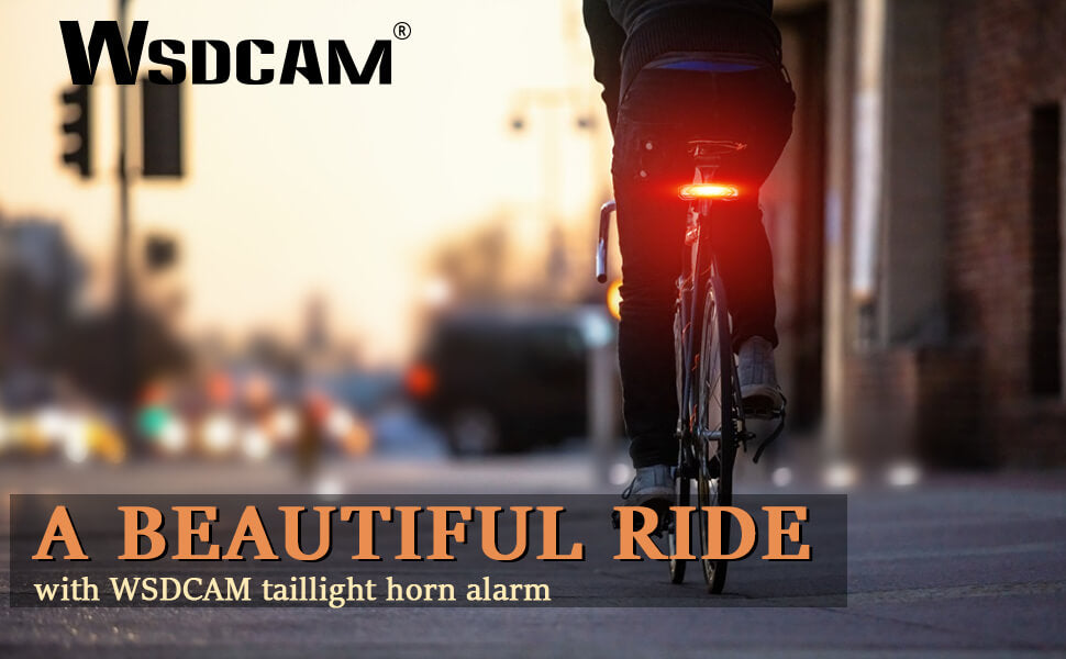 Bike Tail Light Alarm