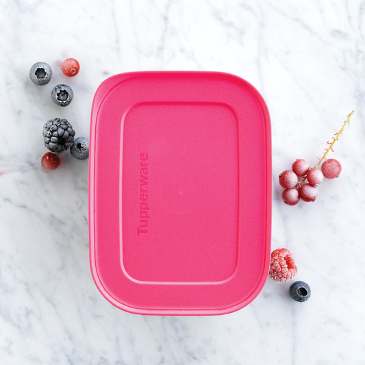 Freezer Mates® PLUS Medium Shallow – Tupperware US