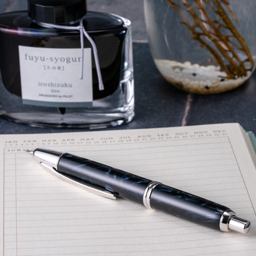 Pilot 2021 Limited Edition Black Ice Vanishing Point Fountain Pen -  Chatterley