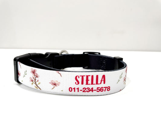 Cactus Dog Collar – Artelexia