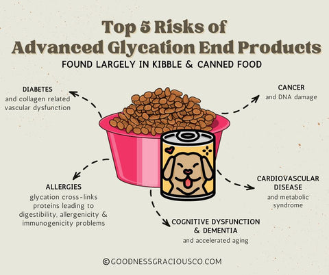 Advanced Glycation End Products Increase Likelihood of Cancer Diabetes Dementia Cardiovascular Disease Allergies and Obesity in Dogs