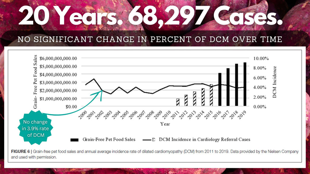 Study finds no significant correlation between DCM and grain free pet foods 