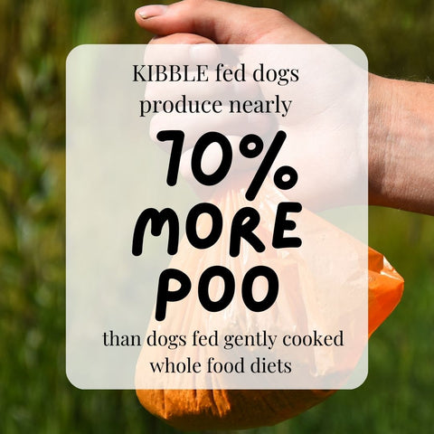kibble fed dogs produce nearly 70 percent more poop than dogs fed gently cooked whole food diets