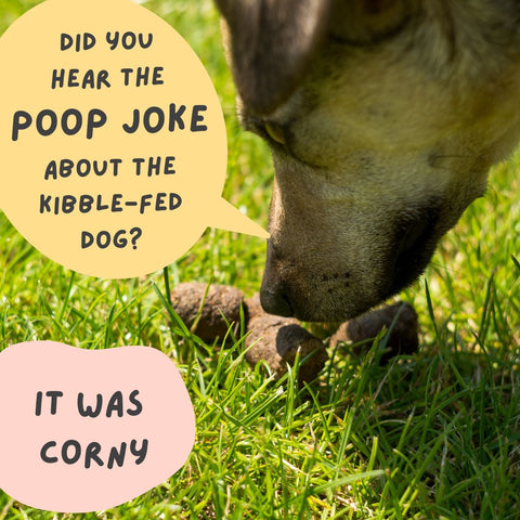 Kibble Fed Dogs Have Larger and Smelly Poop 
