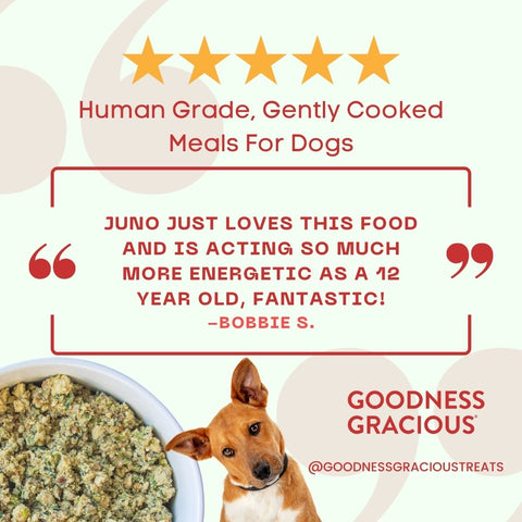 Five Star Review for Goodness Gracious Gently Cooked Human Grade Dog Food Whole Food Diet