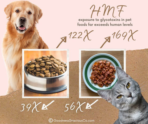 The Glycotoxin AGE HMF levels in canned dog food are 169 times greater than human food and kibble is 122 times greater