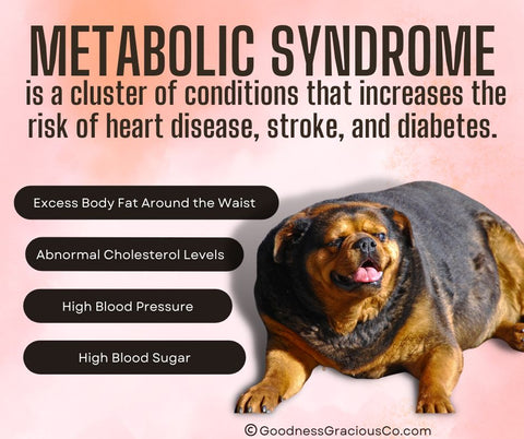 Metabolic Syndrome is a cluster of conditions that increase the risk of heart disease, stroke, and diabetes. Metabolic syndrome includes high blood pressure high blood sugar excess body fat around the waist and abnormal cholesterol levels