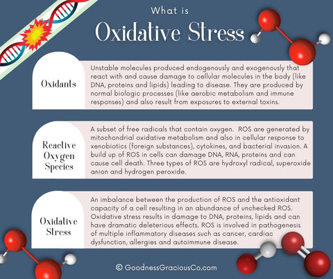What is the difference between Oxidants, Reactive Oxygen Species, and Oxidative Stress