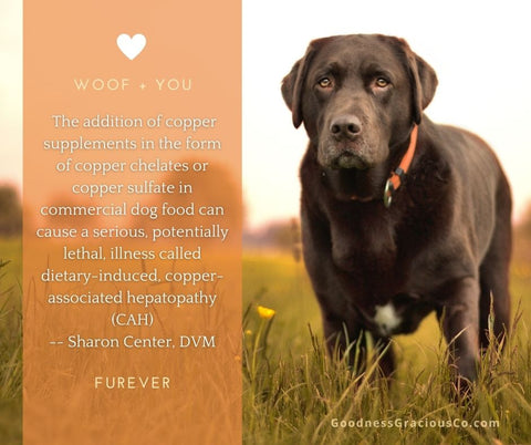 The addition of copper supplements in the form of copper chelates or copper sulfate in commercial dog food can cause a serious potentially lethal illness called dietary-induced copper-associated hepatopathy (CAH) Sharon Center DVM