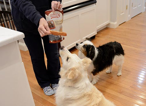 Lean single ingredient chicken jerky from Goodness Gracious makes a healthy reward for dogs on a diet