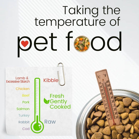 How-kibble-dog-food-causes-inflammation-itchy-skin-and-GI-trouble