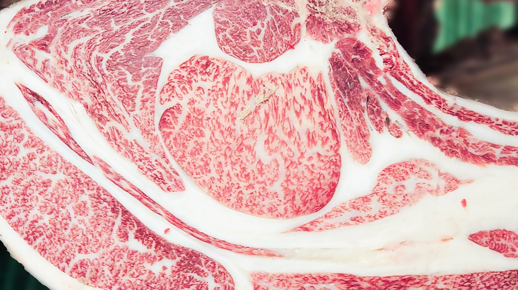 Zoomed in picture of Ozaki Beef texture