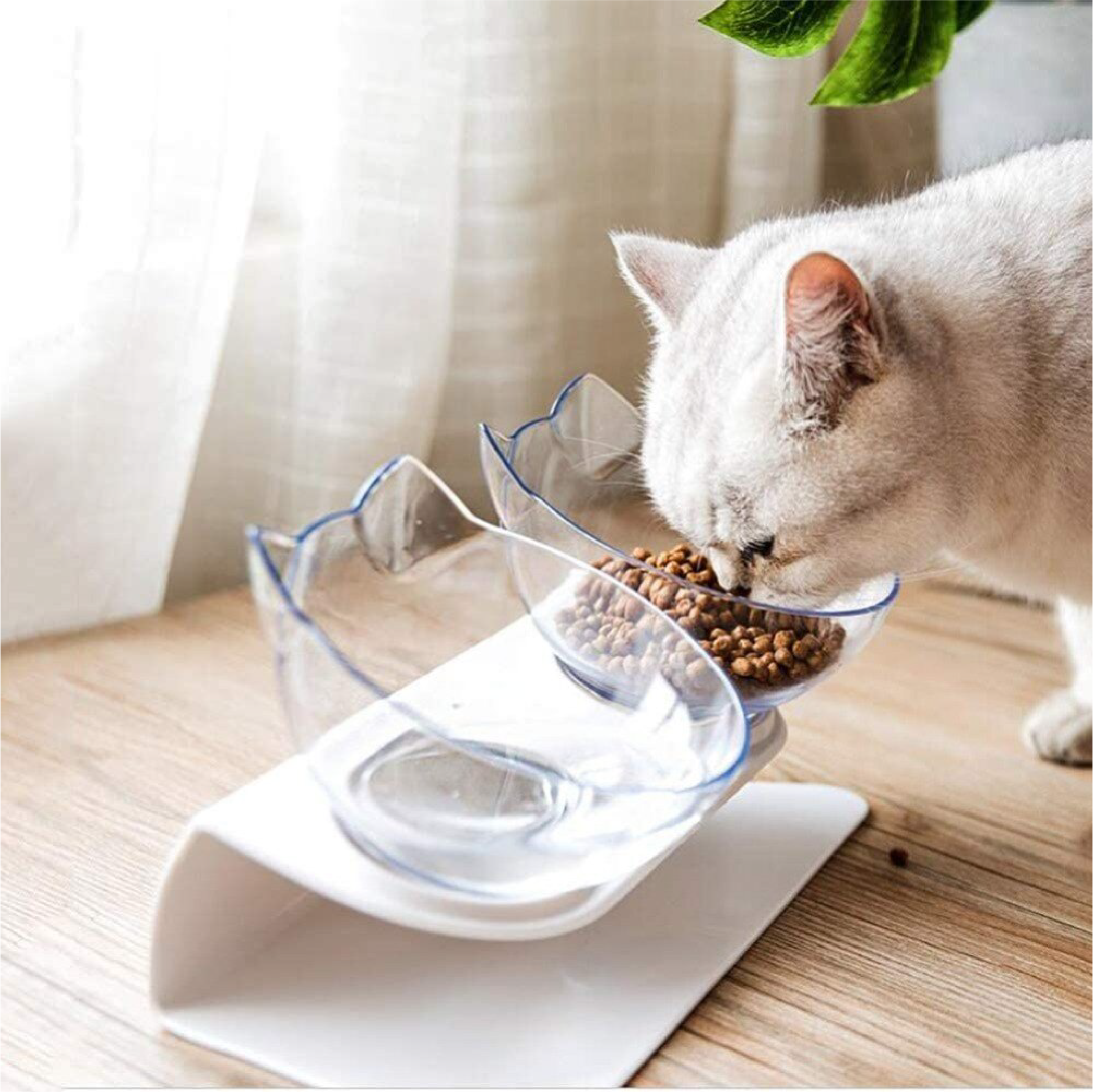 pet comfort bowls for cats