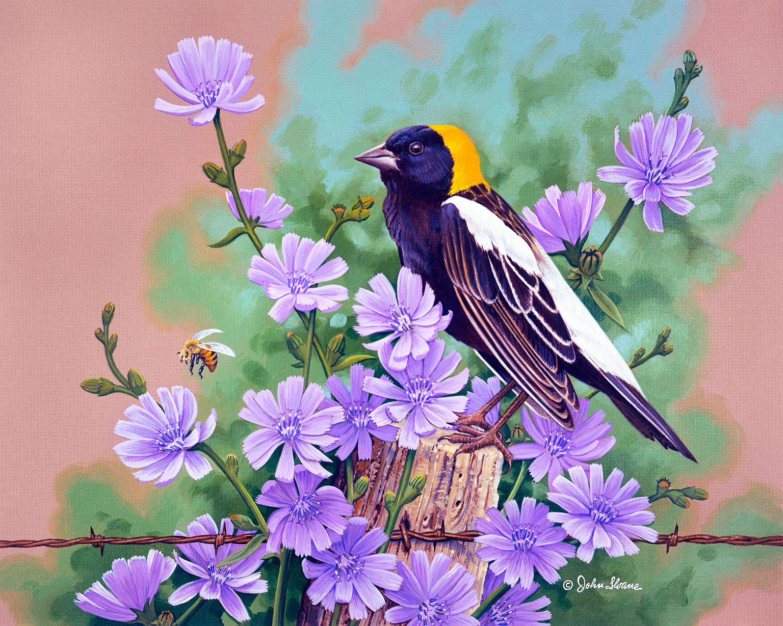 Картины птички с цветами. Джон Слоан цветы. Джон френч Слоан художник птички. Живопись цветов и птиц. Живопись цветы и птицы.
