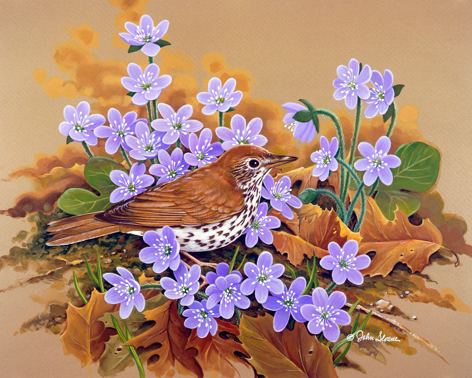 Картины птички с цветами. Джон Слоан цветы. Джон френч Слоан художник птички. Джон Слоан весенние картины.
