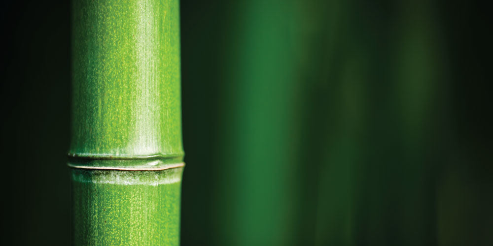 the-21grams-soul-nurture-bamboo-hydrator