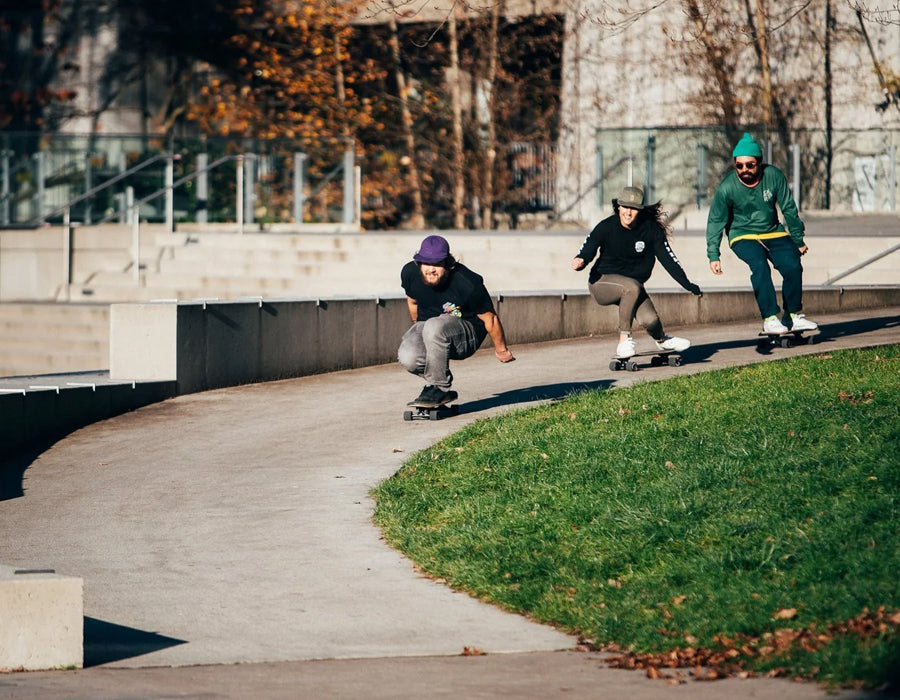 Landyachtz Cruisers