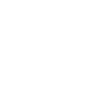 NaturoElite-Icon_1.webp