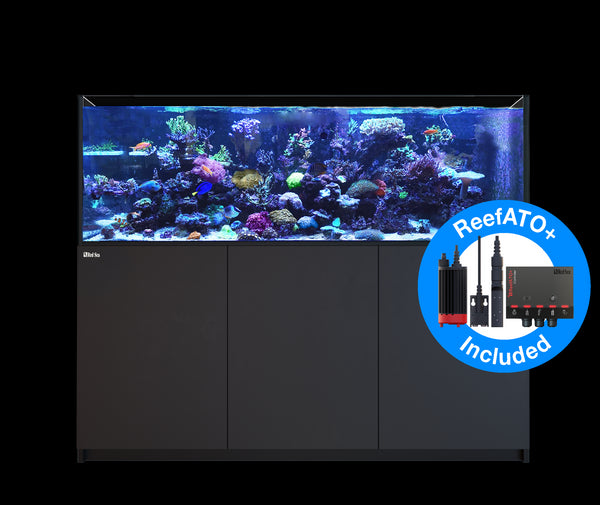 Reefer G2+ - 112 Gallon Reef Ready Aquarium - Red Sea [New] – Fish Tank USA