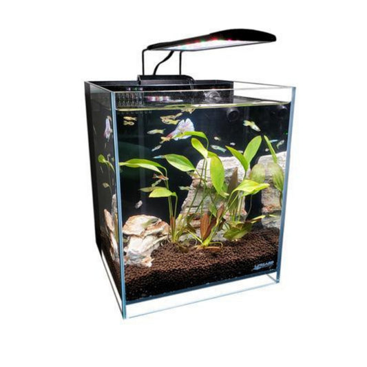 Buy 16 Gallon Long Low Iron Ultra Clear Bookshelf Aquarium Online – Fish  Tank USA