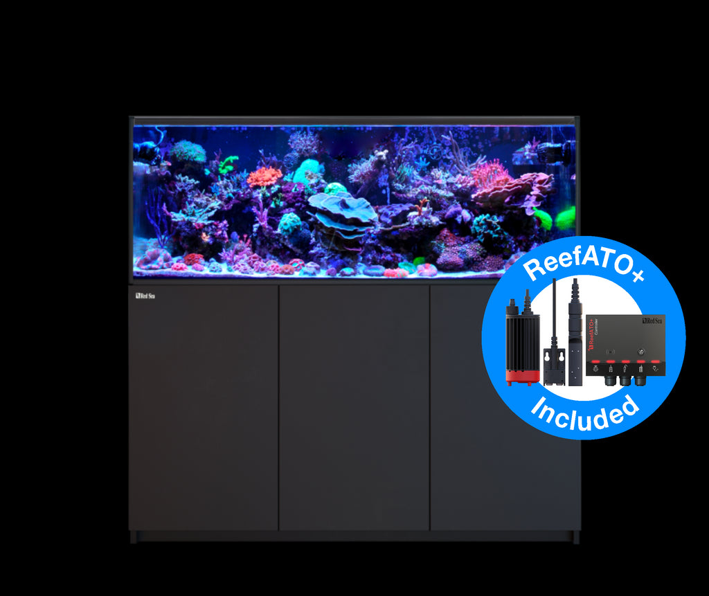 Shallow Reef Pro 2 60 Gallon AIO Aquarium w/ BLACK APS Stand - Innovative  Marine