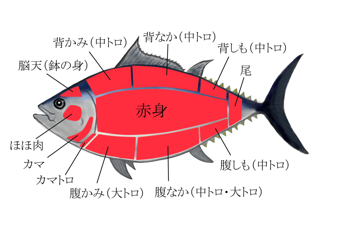 マグロ解体図