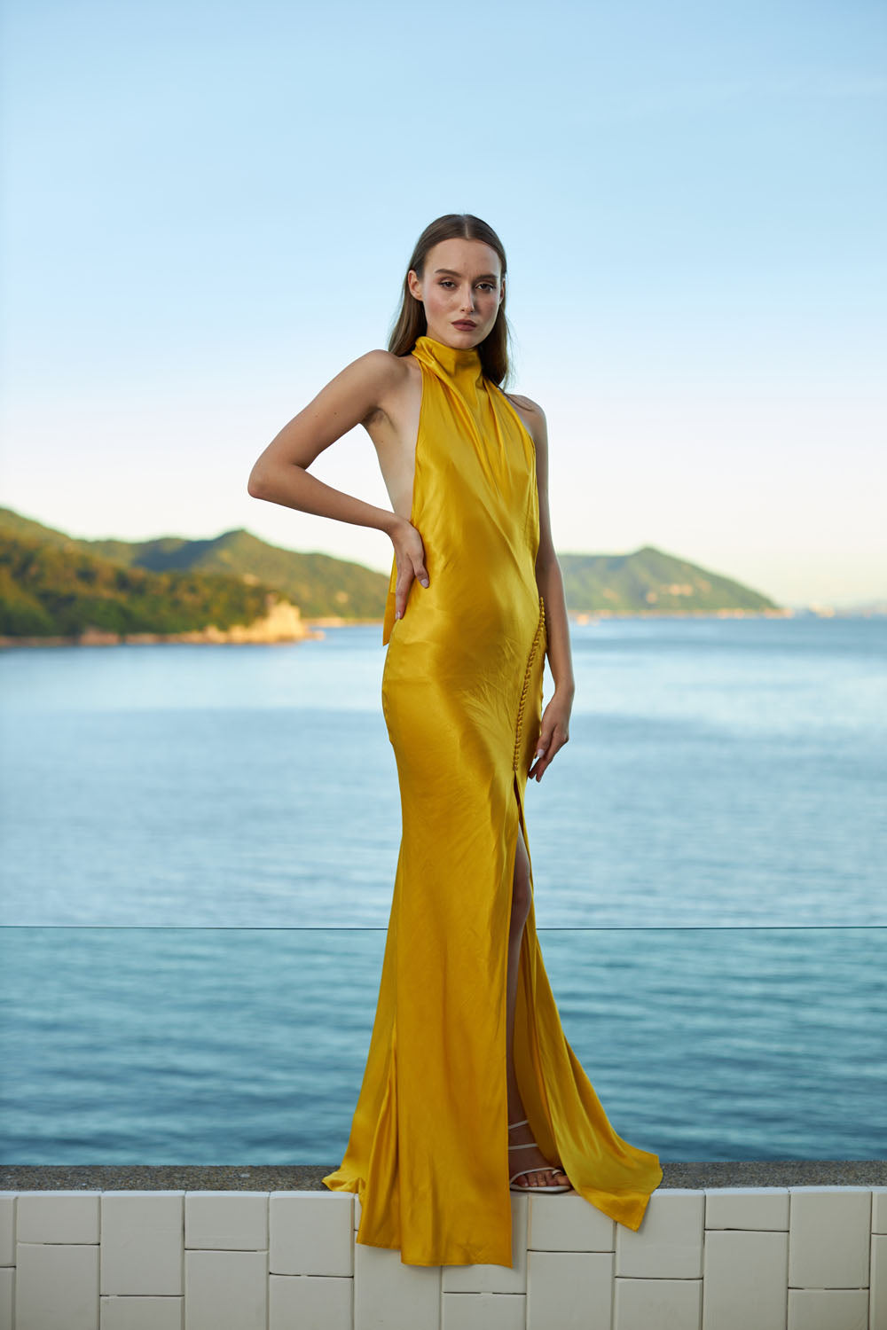 Penelope Backless Satin Gown – SAU LEE