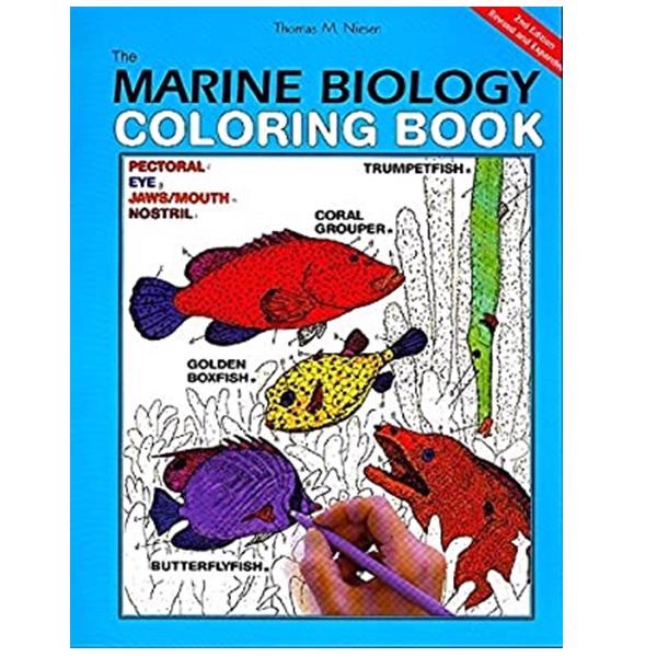 Amazing Ocean Colouring Book for Adults: Magic Sea Life Creative Pages  Stress-Relief Ralaxation for Senior (Paperback)