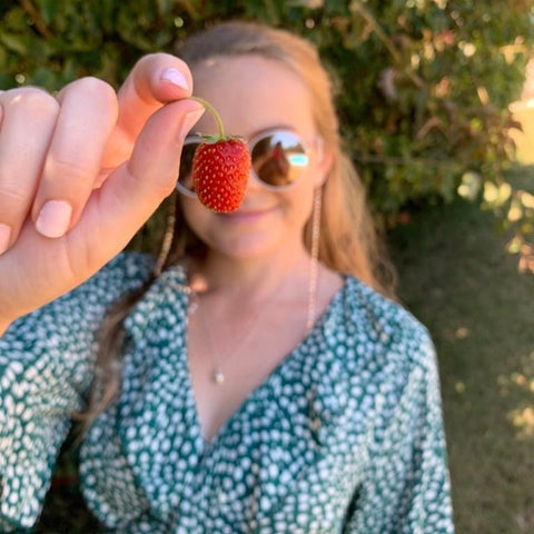 Hotel Guest harvests organic strawberry